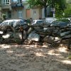 Schulgarten 2013